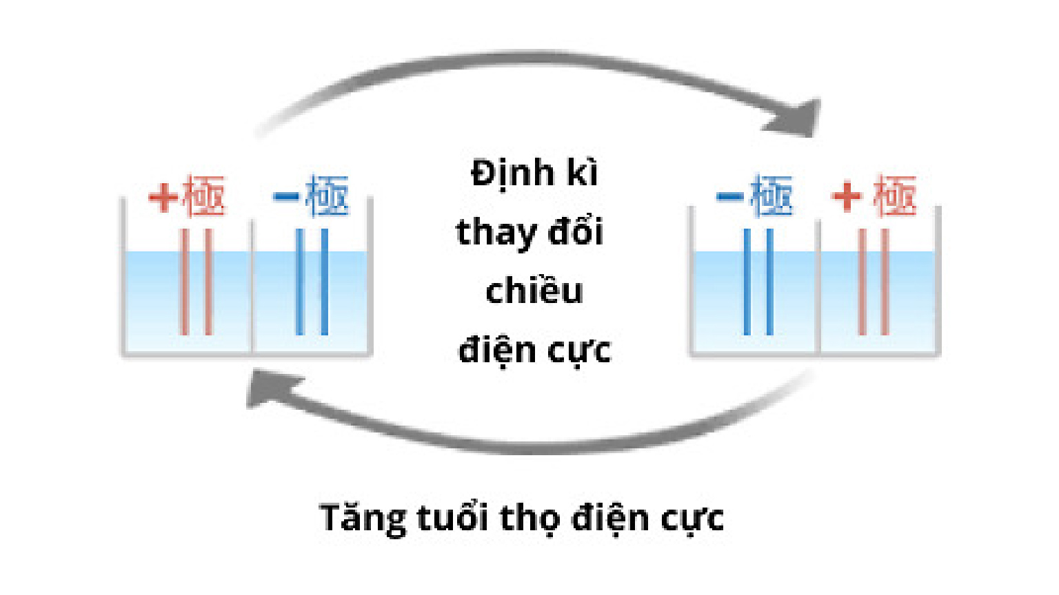 Tăng tuổi thọ tấm điện cực