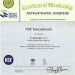 Máy lọc nước Pentair Everpure PBS-400 Standard