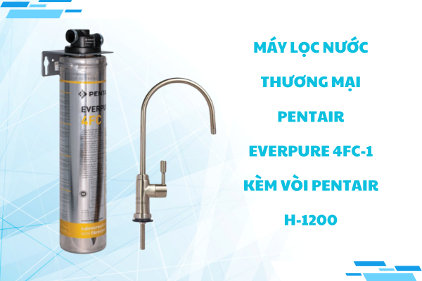 Máy lọc nước thương mại Pentair Everpure 4FC-1 kèm vòi Pentair H-1200