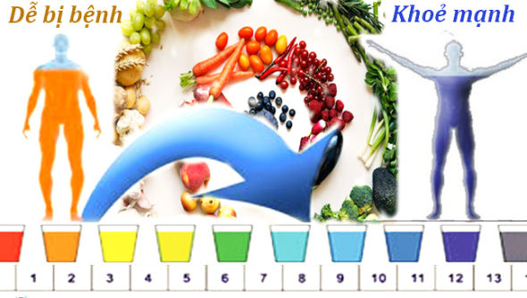 Tại sao cơ thể nên mang tính kiềm hóa